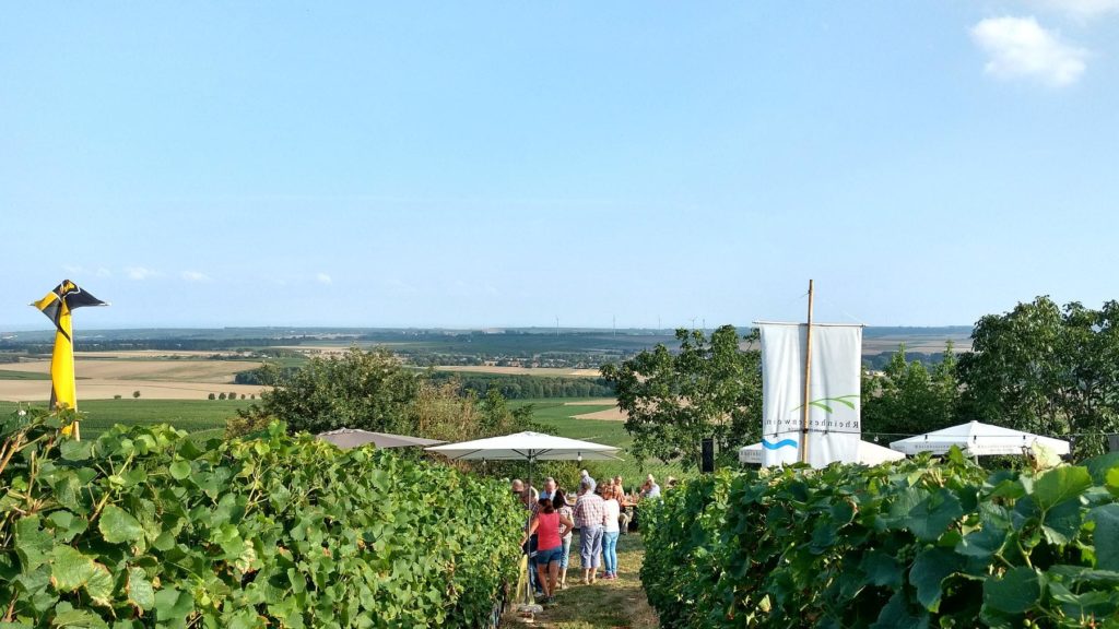 Wine tasting at the Selzer Kerb: view of the Selz valley