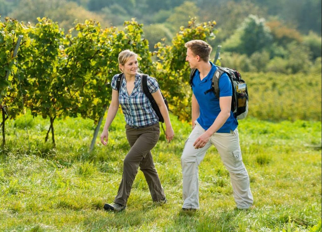 A couple walks through a vineyard with backpacks.