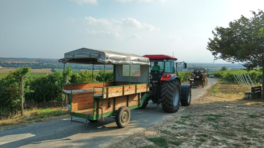 Pendeldienst: De tractoren halen de volgende wijnproevers op