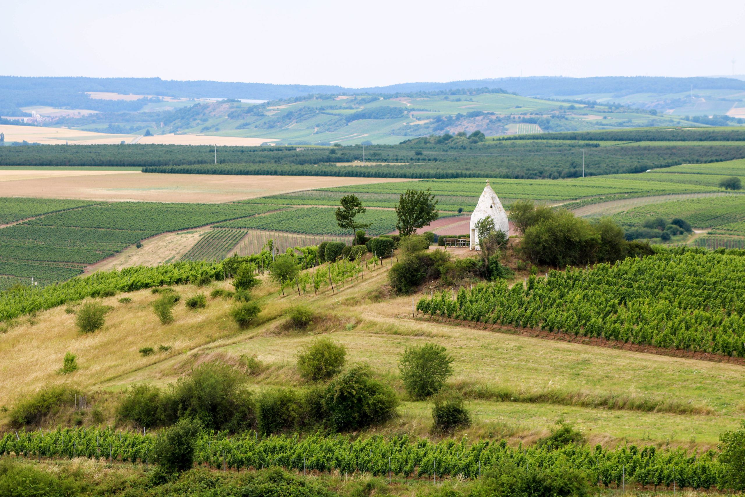 Hiking report Hiwweltour Aulheimer Tal: wine, forest and steppe -  Rheinhessen-Blog