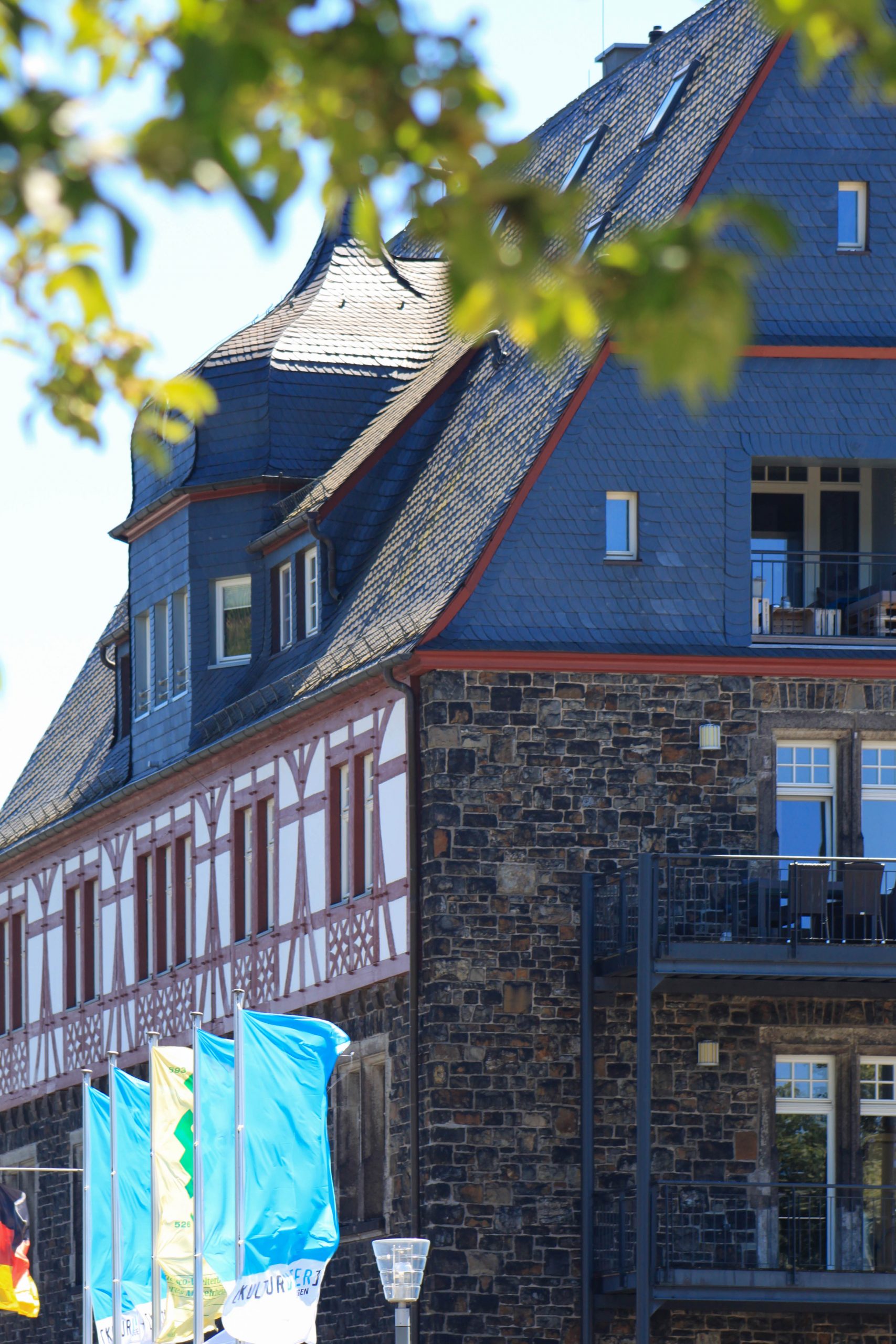 Das Kulturufer in Bingen Ein Spaziergang zwischen Rhein und Blütenmeer