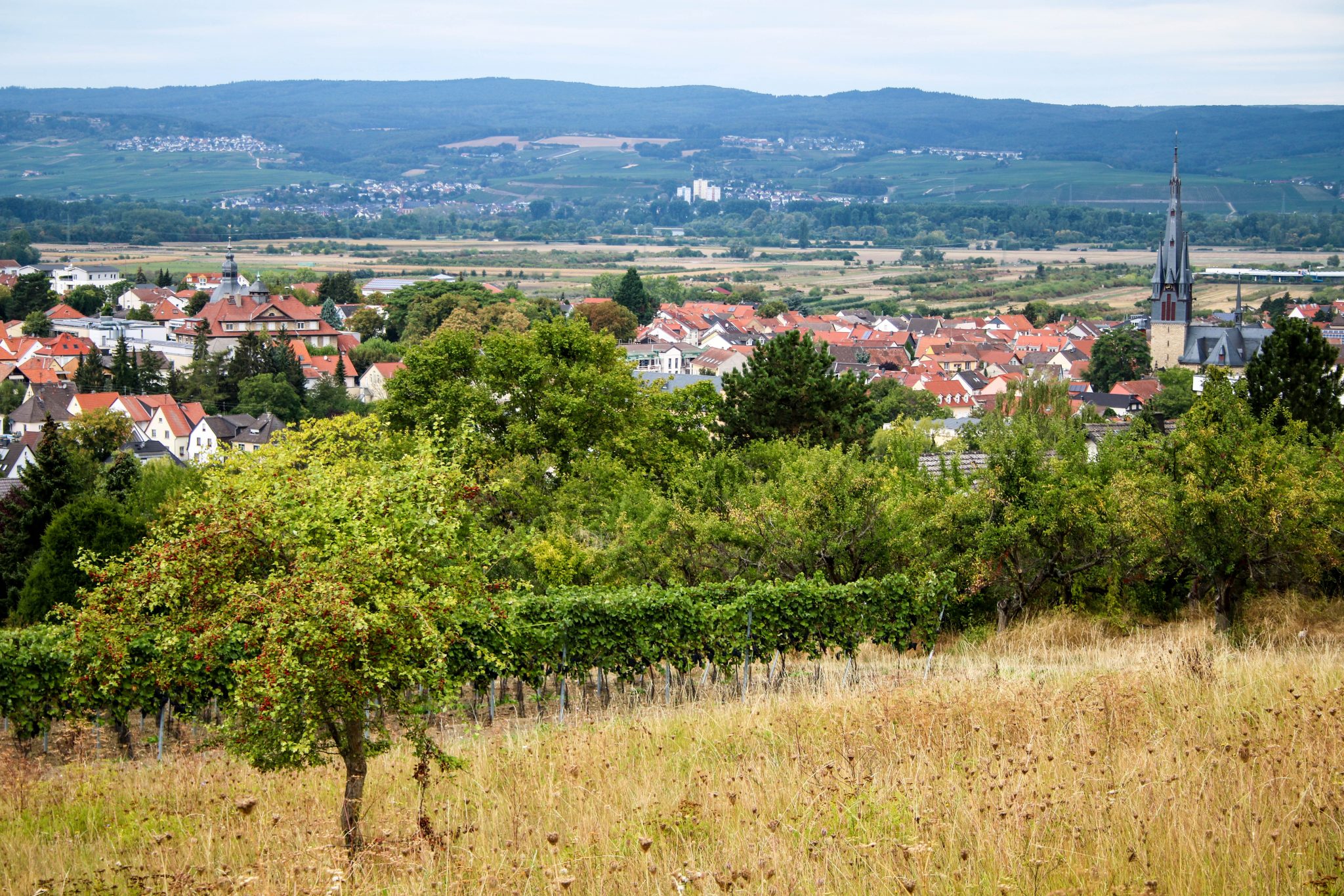 Wanderbericht Hiwweltour Bismarckturm: Geschichte, Panoramen und guter ...