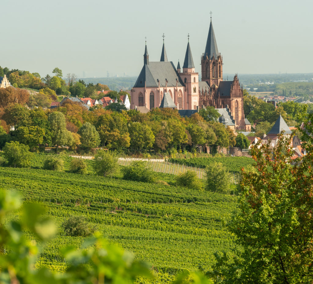 Uitzicht op de Sint-Catharinakerk in Oppenheim vanaf de RheinTerrassenWeg in Rheinhessen