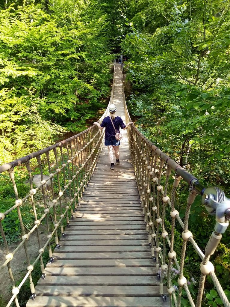 Suspension bridge on the Bingen forest adventure trail