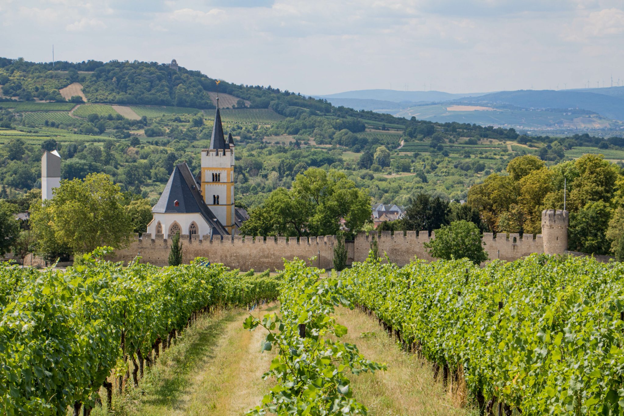Rheinhessen für jeden Charakter – ein Ausflug in die acht ...