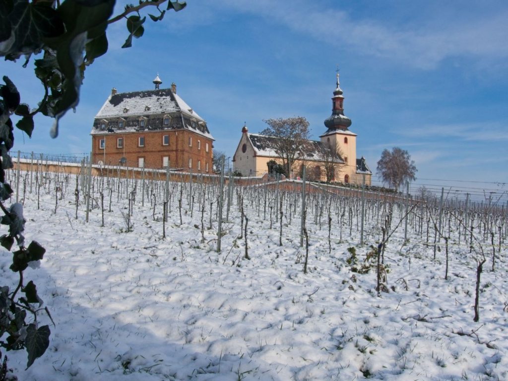 Niersteiner Kilianskirche, onder Duitslands oudste wijngaard: Niersteiner Glöck