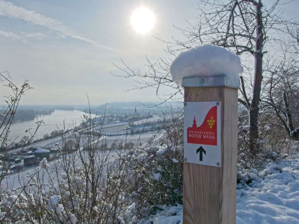 Signpost wine experience red slope with winter view of the Rhine, Kilianskireche and Nierstein