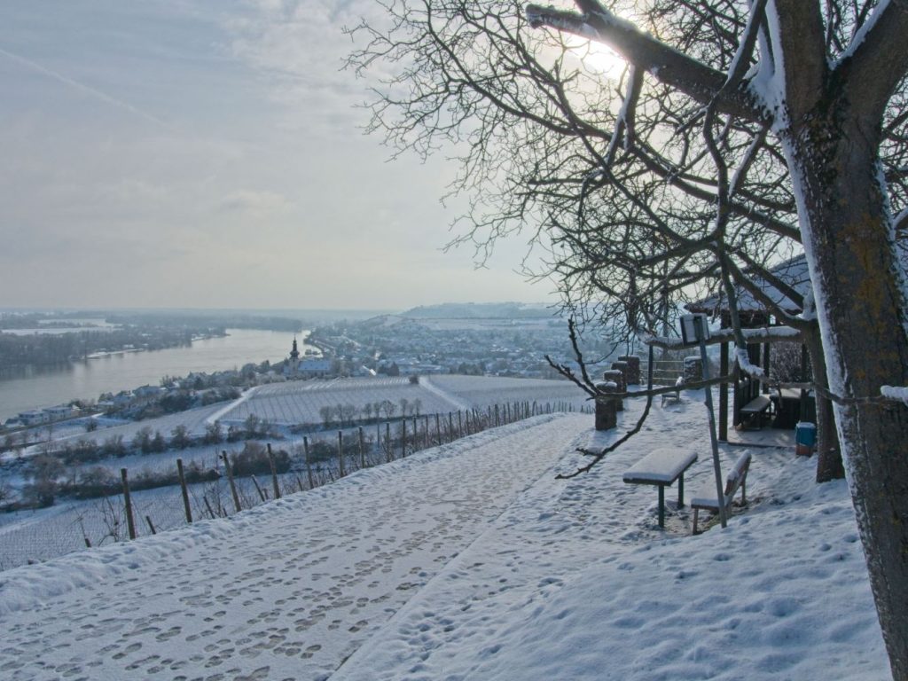 Wijnbelevenis Rode Helling, Station 6: Bij de Fockenberghütte met uitzicht op de Rijn en Nierstein