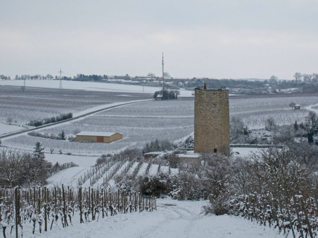 De kasteeltoren van de Schwabsburg