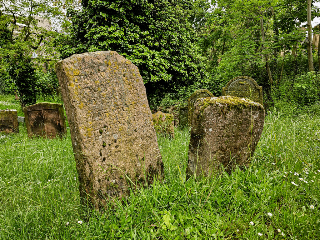 Der älteste Grabstein auf dem jüdischen Friedhof in Worms
