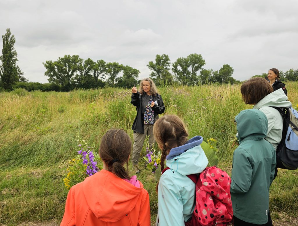 Special guided tours in Rheinhessen: Herb tour