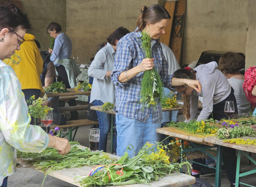 Special guided tours in Rheinhessen: Herb tour