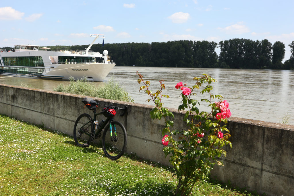 Hiwwelpacken Met de fiets over de Rijn-Hessische heuvels