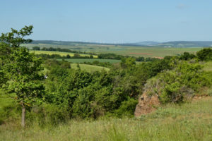 Hiwwelpacking By bike over the Rhine-Hessian hills