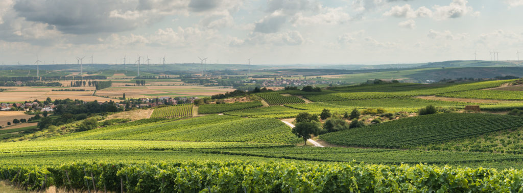 Uitzicht over de heuvels van Rijn-Hessisch Zwitserland