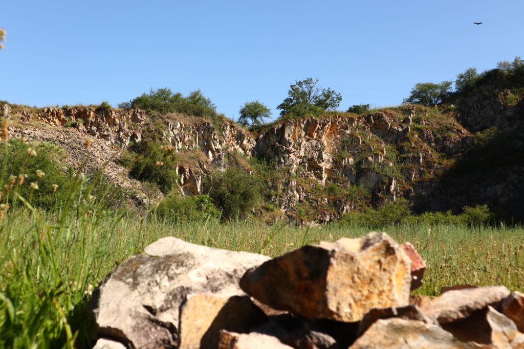 Hiwwelpacking By bike over the Rhine-Hessian hills