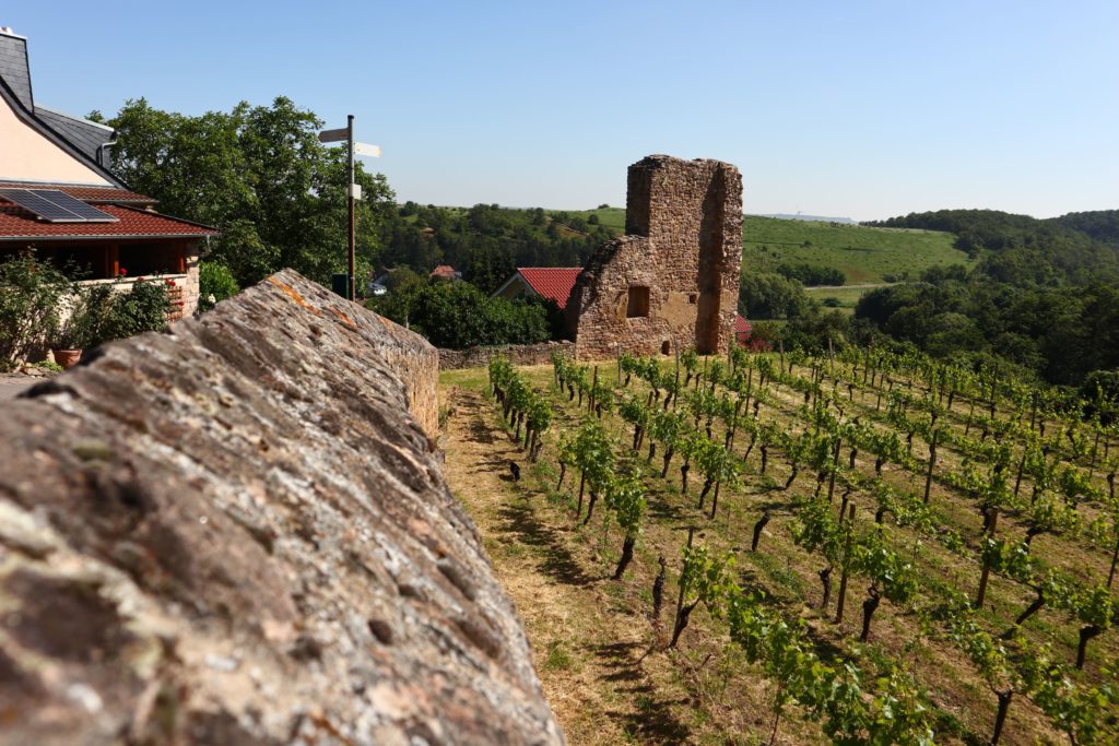 Hiwwelpacking By bike over the Rhine-Hessian hills