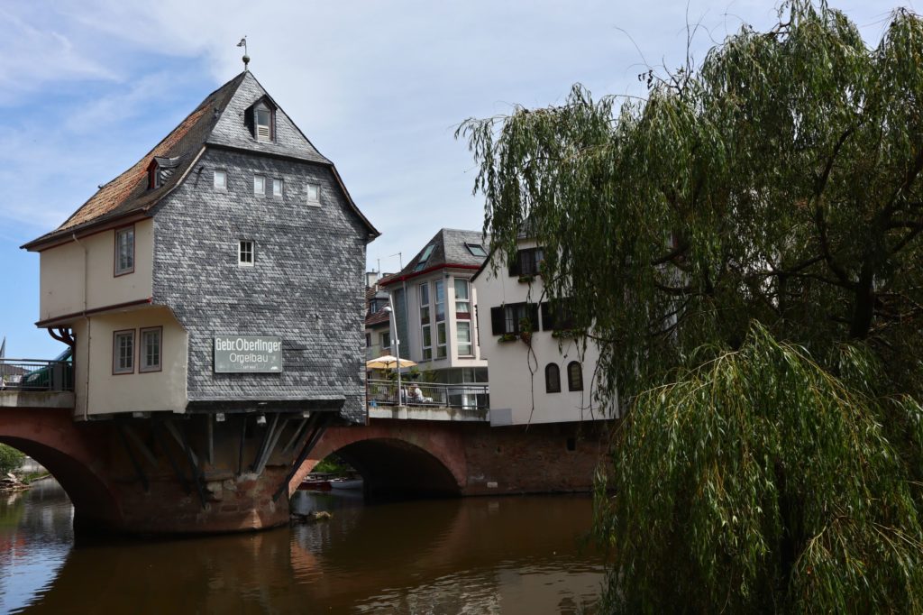 Hiwwelpacken Met de fiets over de Rijn-Hessische heuvels