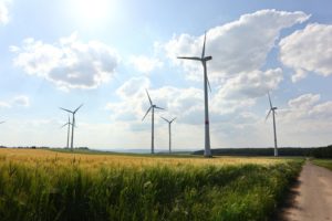 Hiwwelpacken Met de fiets over de Rijn-Hessische heuvels