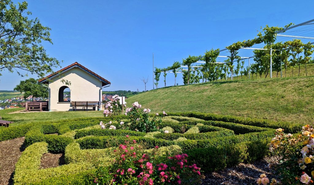 Picknickplätze in Rheinhessen Auf dem Gigser bei Wolfsheim