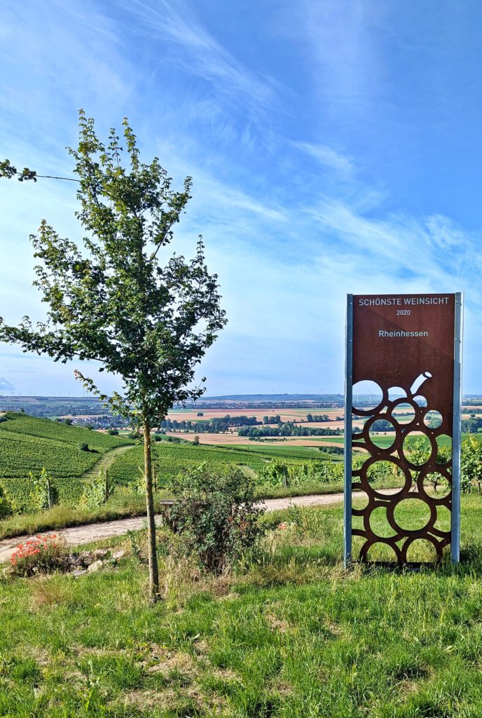 Picknickplekken in Rheinhessen Op de Zornheimer Berg
