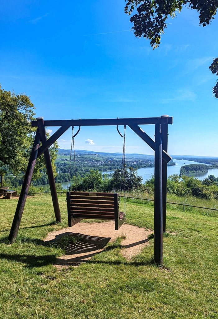 Picknickplekken in Rheinhessen De Wingertsschaukel op de Rochusberg