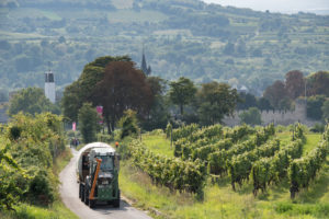 Covered wagon ride to the BurgbergUnderVibes wine festival