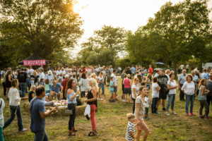 Wine festivals for young and old