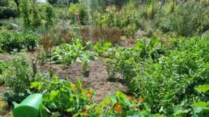 Er is ook een moestuin om te verkennen