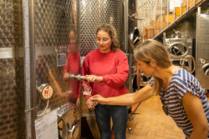 Wine straight from the steel barrel at the Burghof Oswald winery