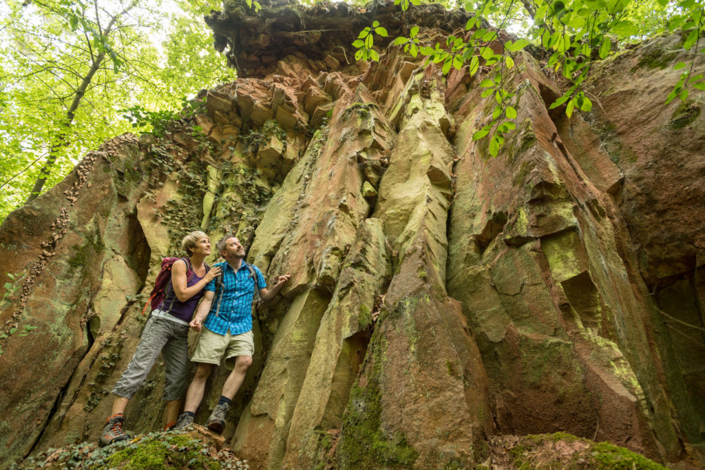 Een steengroeve midden in het bos op de Hiwweltour Aulheimer Tal