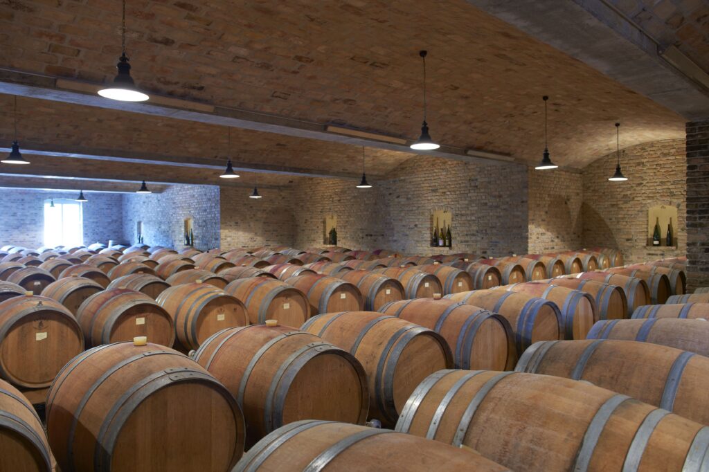 Moderner Barriquekeller im Weingut Gutzler in Rheinhessen mit zahlreichen Holzfässern in gleichmäßigen Reihen, Backsteinwände und dezente Deckenbeleuchtung sorgen für eine warme, stimmungsvolle Atmosphäre.
