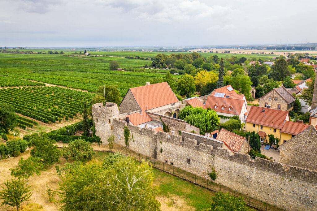 The Fleckenmauer in Flörsheim-Dalsheim from above.