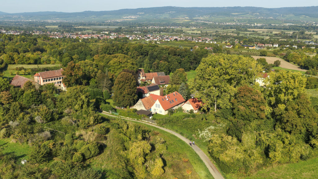 Rheingau view with sandmill in Heidesheim