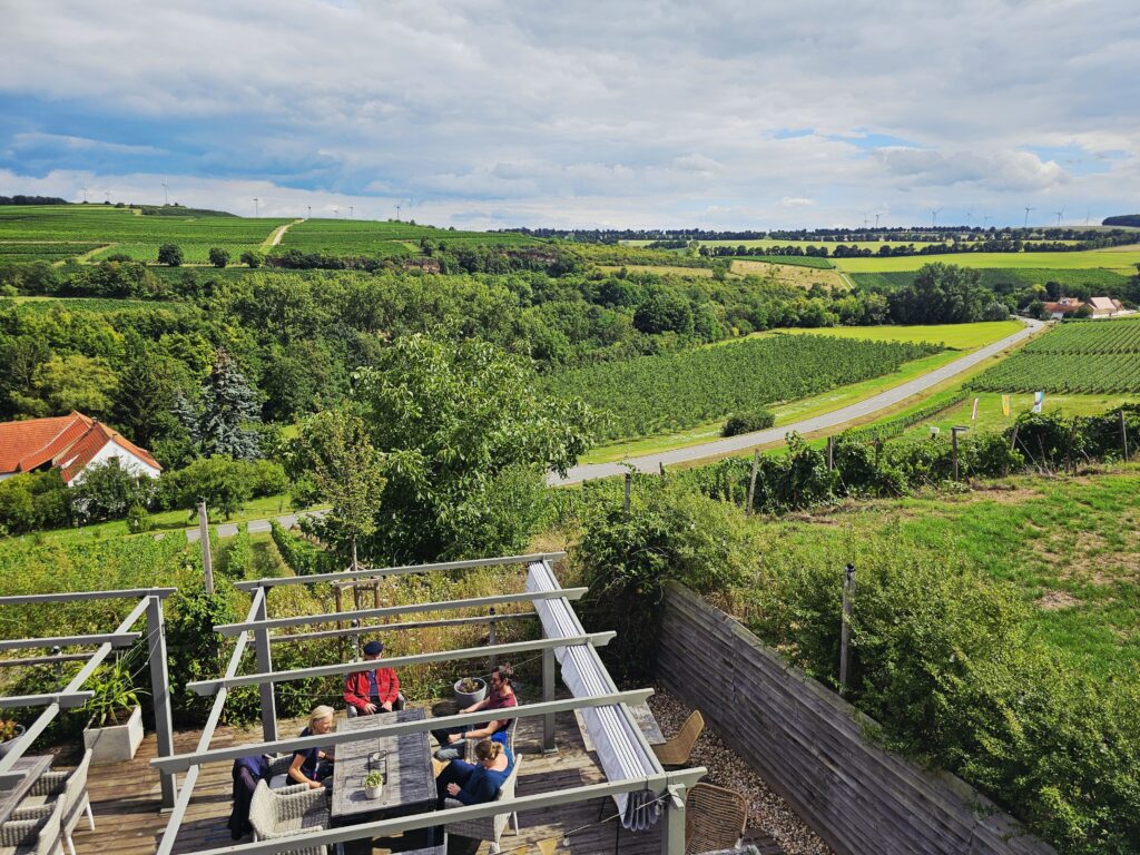 Aussichtsterrasse mit Blick auf die rheinhessische Toskana und sanfte Weinberge