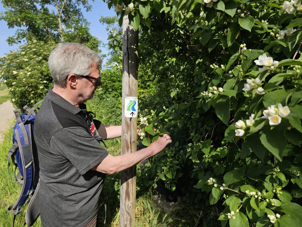 Wegepate mit Heckenschere pflegt Wanderweg und Markierungen