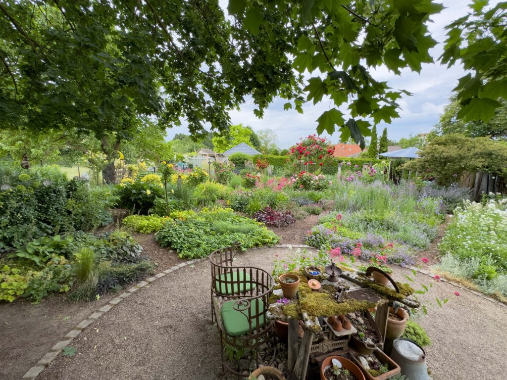 Bunter Naturgarten mit vielfältigen Blüten im Rathausgarten Dexheim