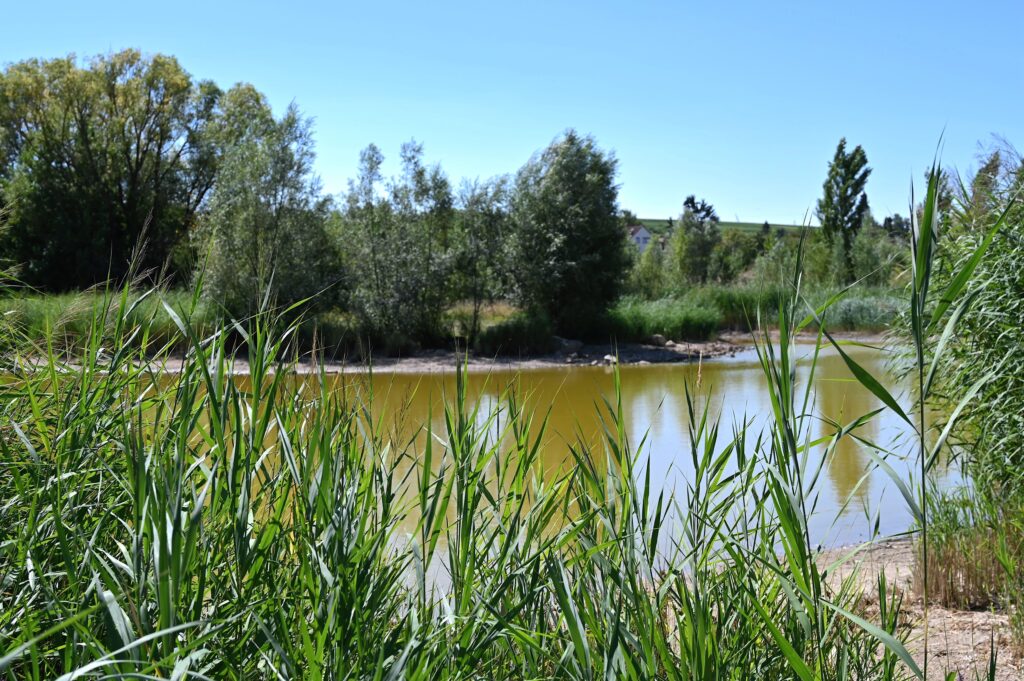 Idyllische Mühlbachauen-Landschaft auf der Hiwweltour Saulheimer Hölle