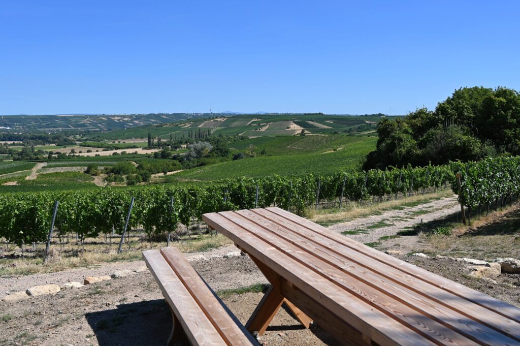 Rastplatz mit Sitzbank und weitem Ausblick über die Weinberge