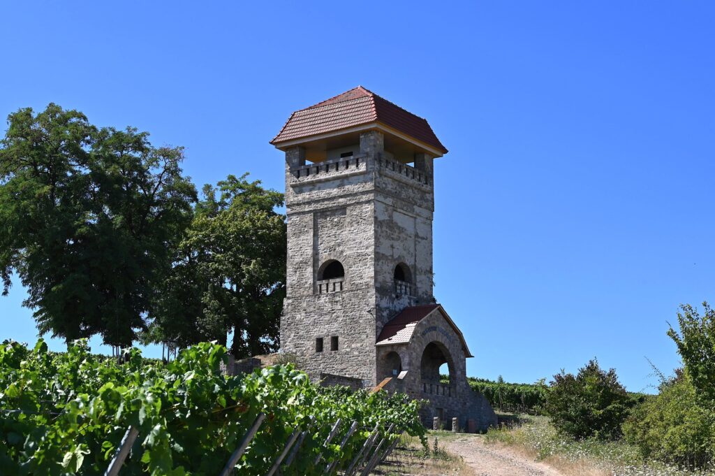 Historischer Wöllsteiner Wasserturm zwischen Weinbergen