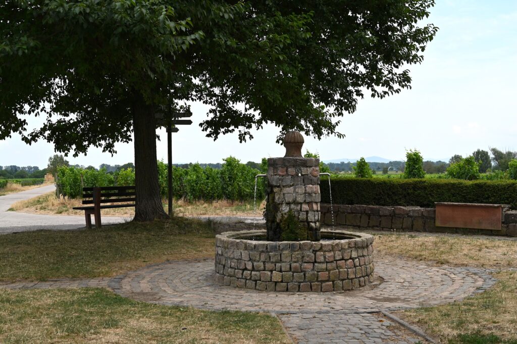Weißmühlbrunnen mit Sitzbank an der Hiwweltour Alsheimer Hohlwege