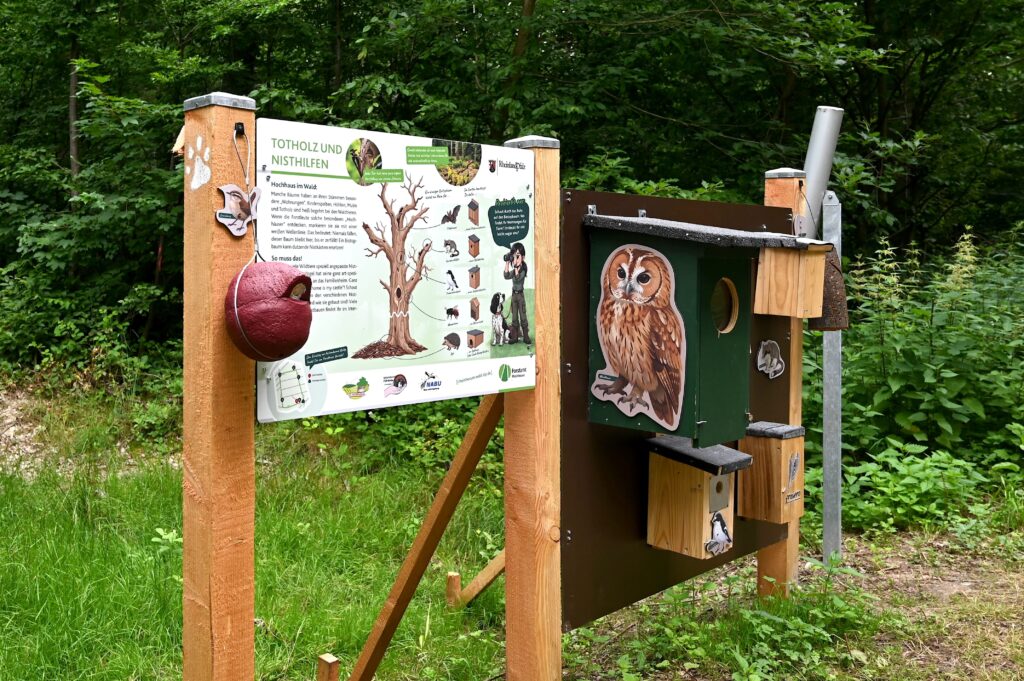 Panneau d'information sur le sentier forestier de Vorholz