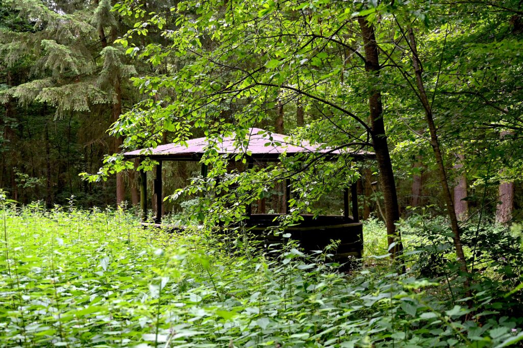 Refuge dans la forêt, le long du circuit de randonnée « Hiwweltour » à Vorholz
