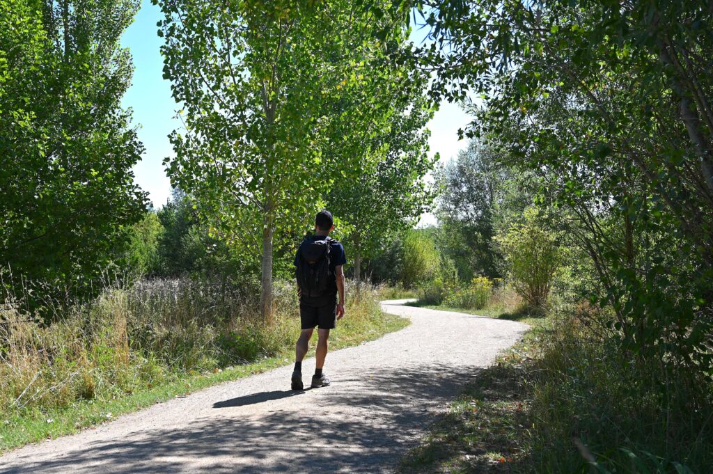 Wanderweg durch ein renaturiertes Auengebiet auf der Hiwweltour Saulheimer Hölle