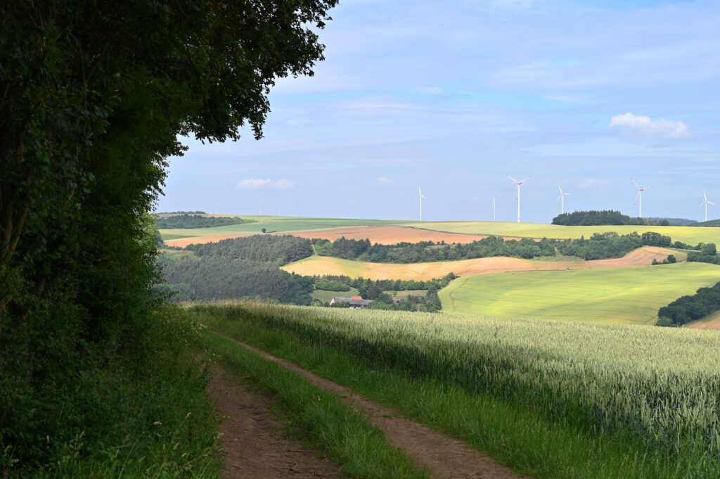 Vue panoramique sur les champs et la campagne près de Bechenheim