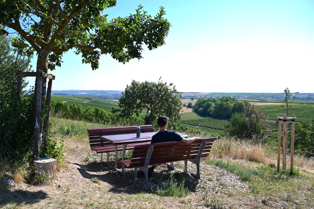 Rastplatz an einer Streuobstwiese auf der Hiwweltour Saulheimer Hölle