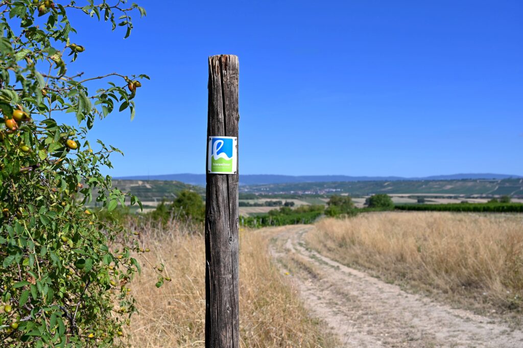 Wegmarkierung der Hiwweltour Saulheimer Hölle an einem Holzpfosten