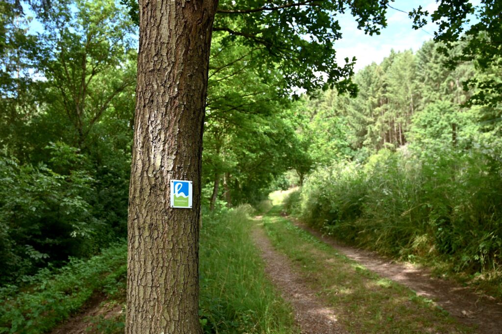 Balisage du circuit « Hiwweltour Vorholz » dans la forêt