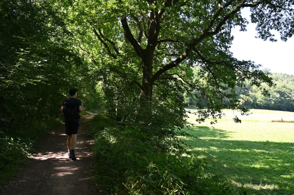 Schattiger Wanderweg durch das beschauliche Appelbachtal