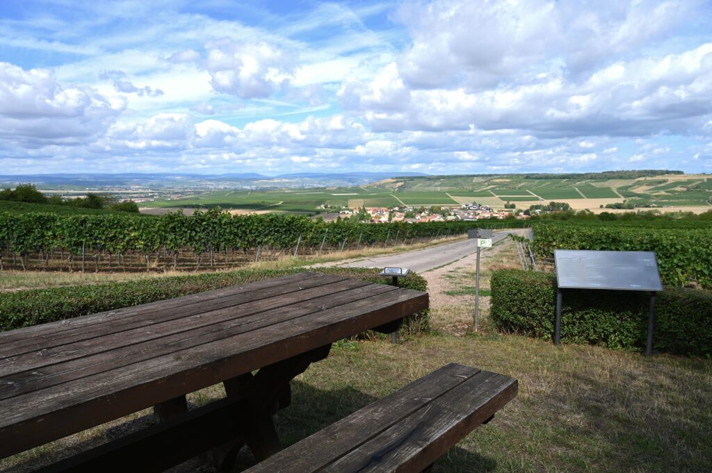 Tisch des Weines am Wißberg mit Panoramablick über Rheinhessen
